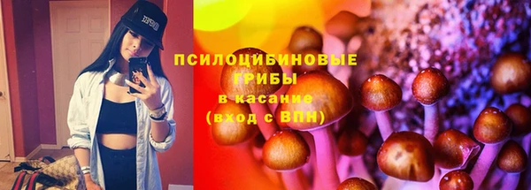 не бодяженный Гусев