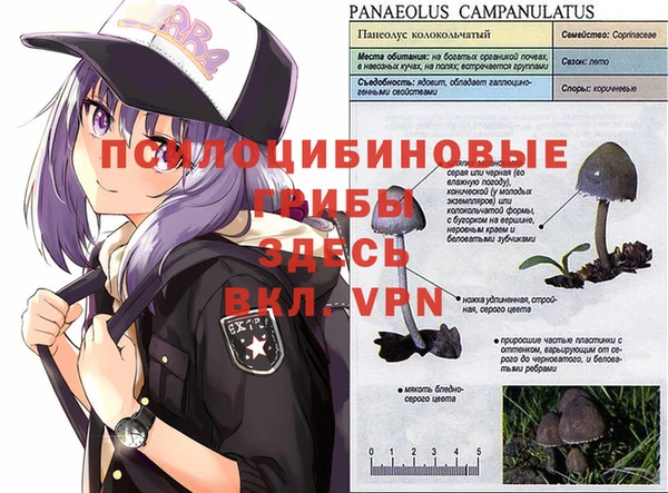 таблы Гусь-Хрустальный