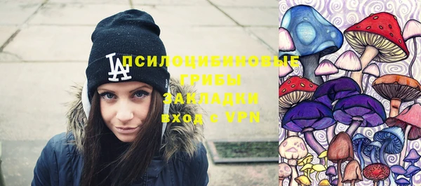 не бодяженный Гусев