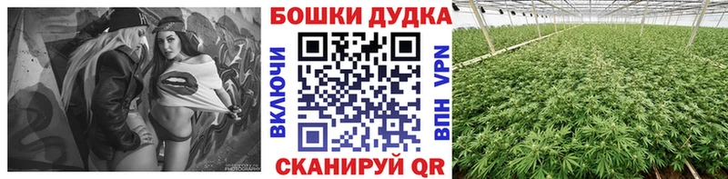 Купить закладки  Вышний Волочёк  Марихуана ГИДРОПОН 